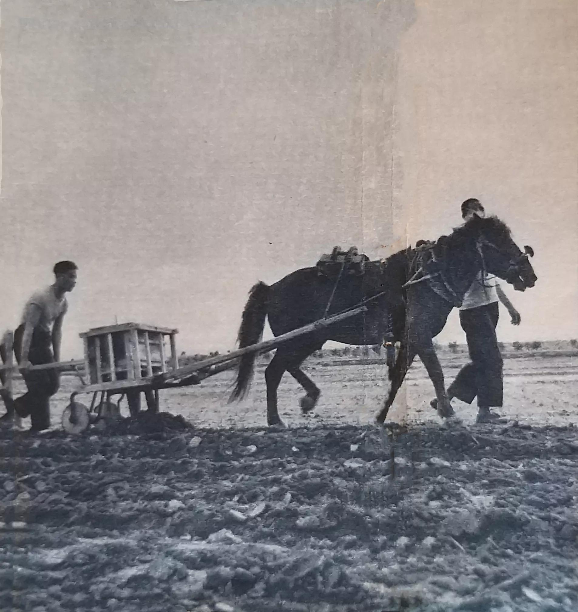 *员复**军人的红旗，技术革新的闯将