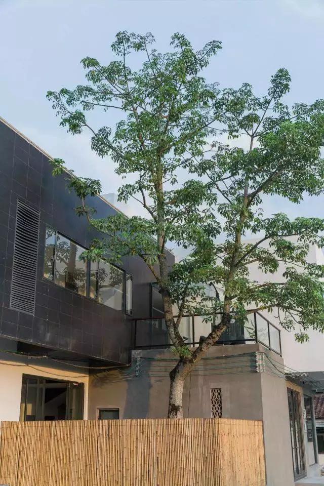 增城小众山野田园民宿,广州增城新晋网红民宿出炉