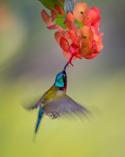 鑻规灉鍞編涓撶敤澹佺焊鍏ㄥ睆,鍜栧暋鍞編鎰忓澹佺焊鍏ㄥ睆
