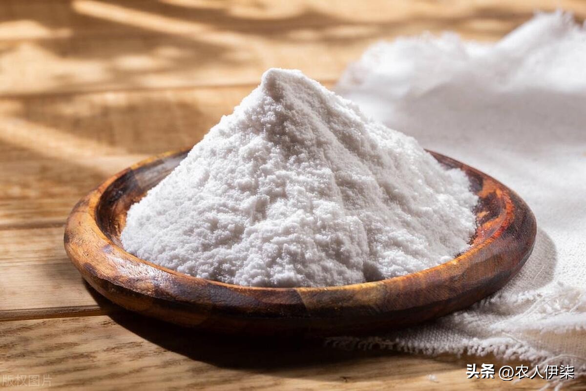 小苏打加白醋对蔬菜防病害有用吗,小苏打能防病虫害吗