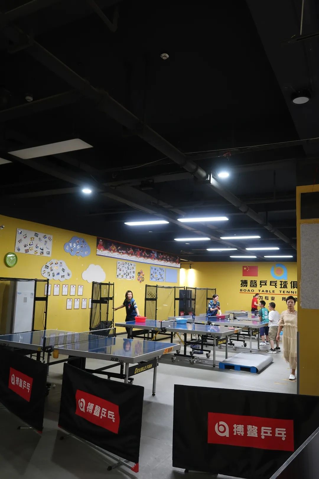 收藏乒乓球推荐,收藏价值高羽毛球拍