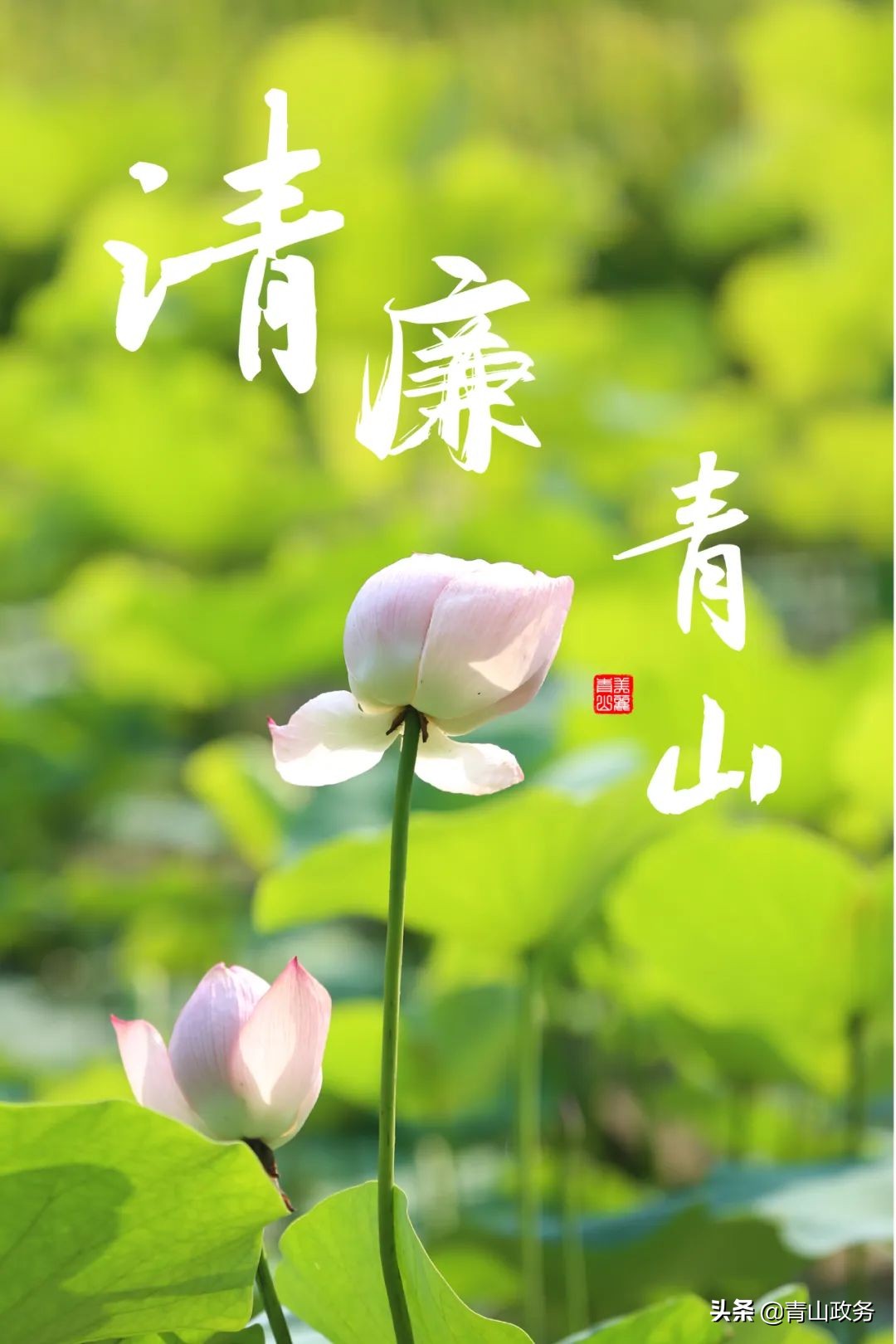 清风入企助力企业清廉建设,廉政清风勤政为民