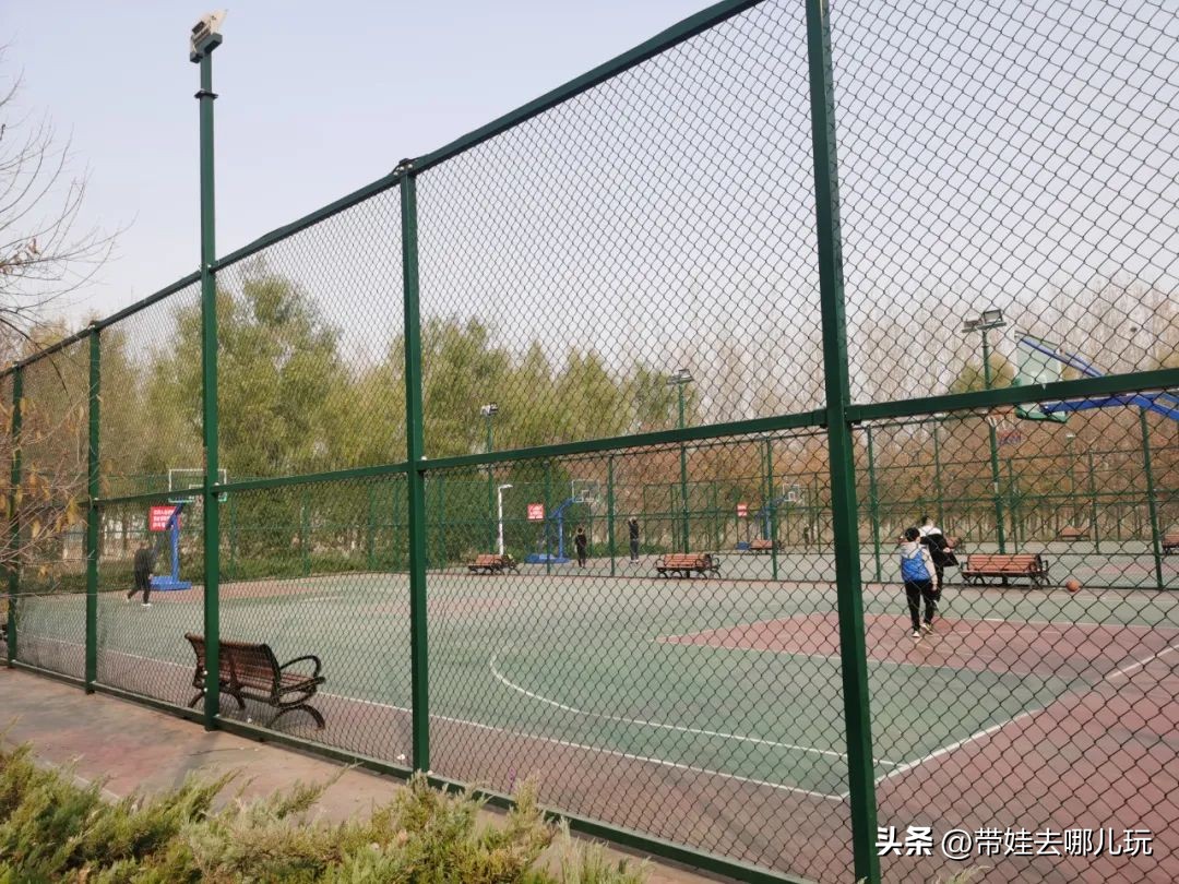 骑行国家森林公园,徒步骑行森林公园