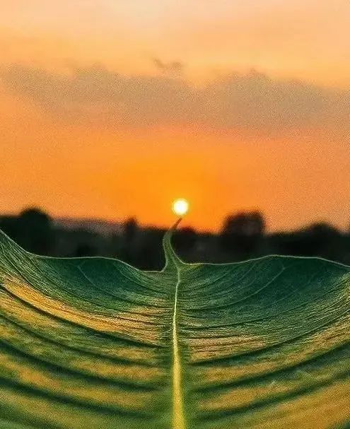 心若自在处处有天籁,心若自在身似天籁是什么意思