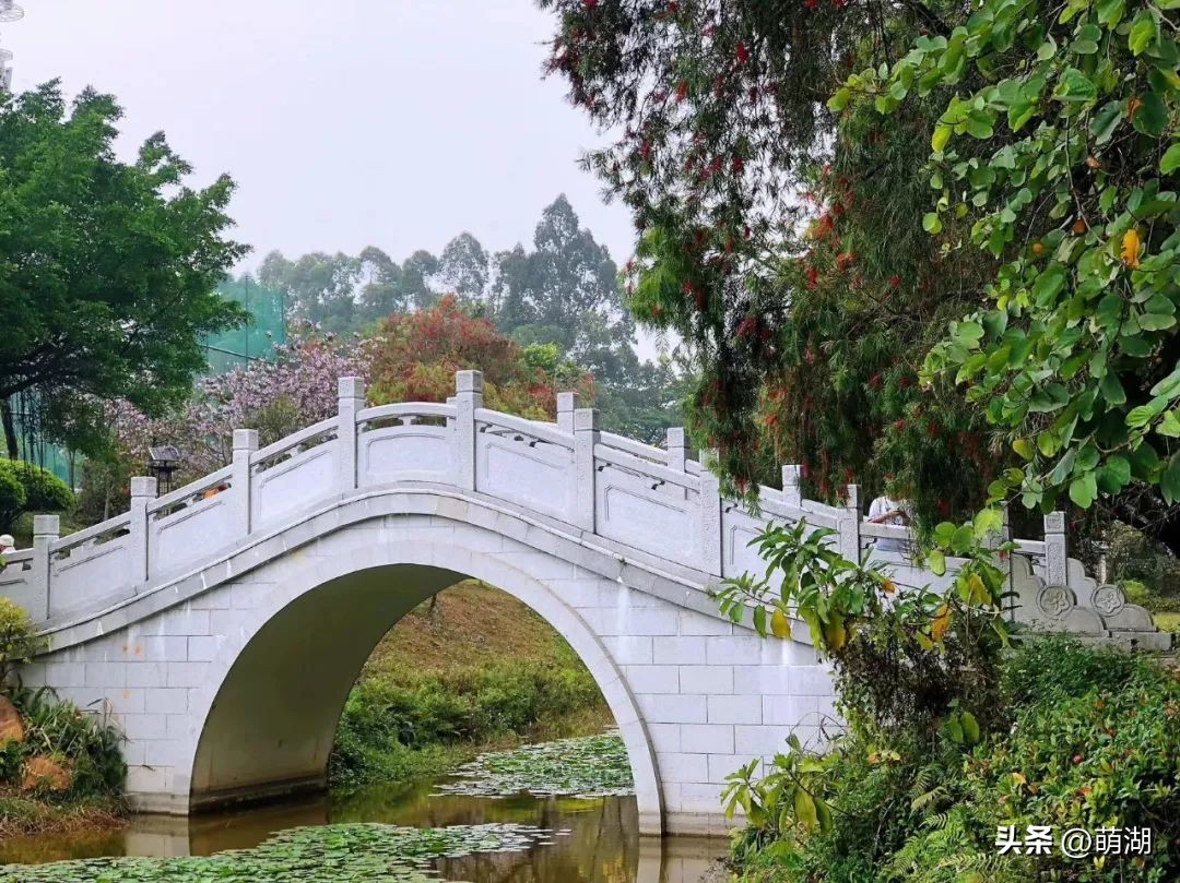 夏天去广州旅游攻略一天,广州旅游攻略一天一夜自由行