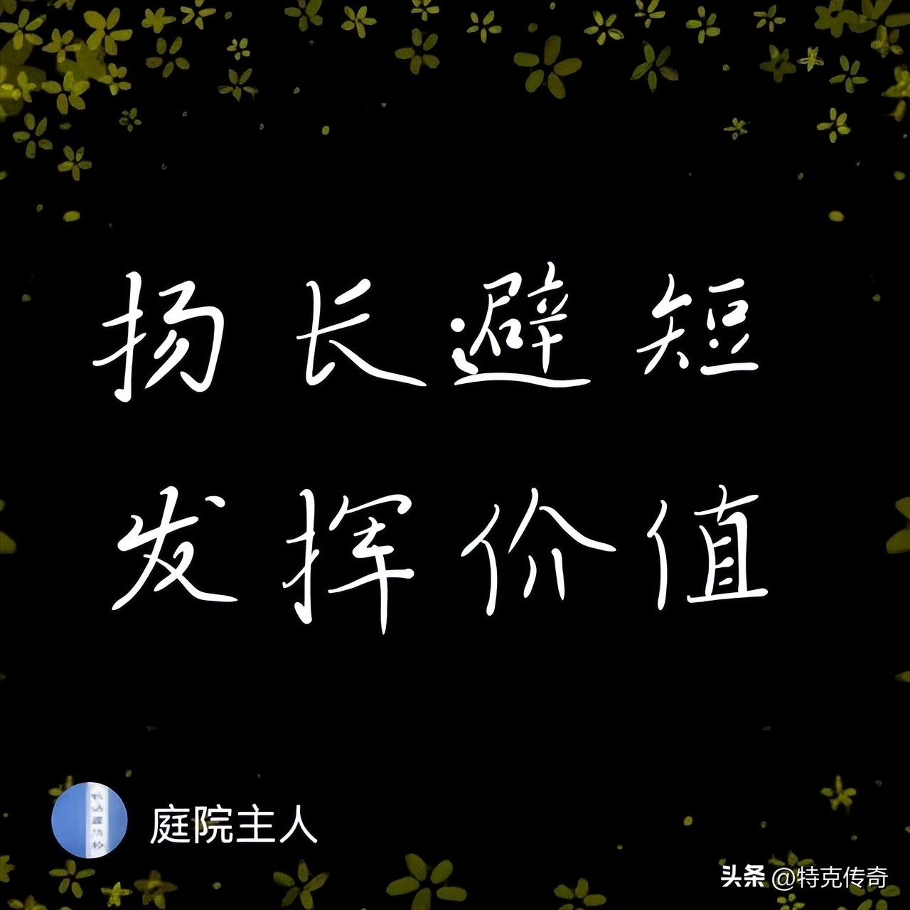 怎么发评论他人文章的微头条,如何将自己的文章发布成微头条