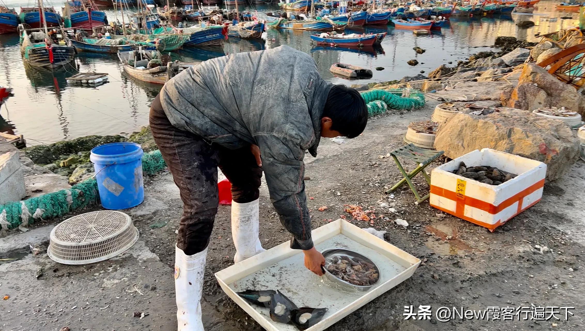 大连滨海路木栈道旅游攻略,周末徒步徜徉大连山海美景