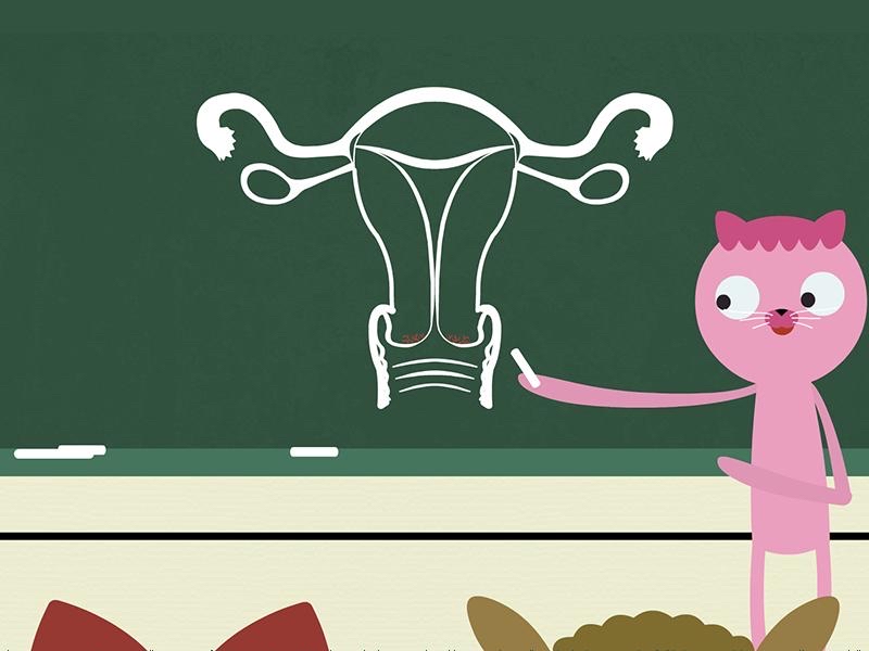 改善儿童营养不良问题自查表,如何知道自己是否营养不良