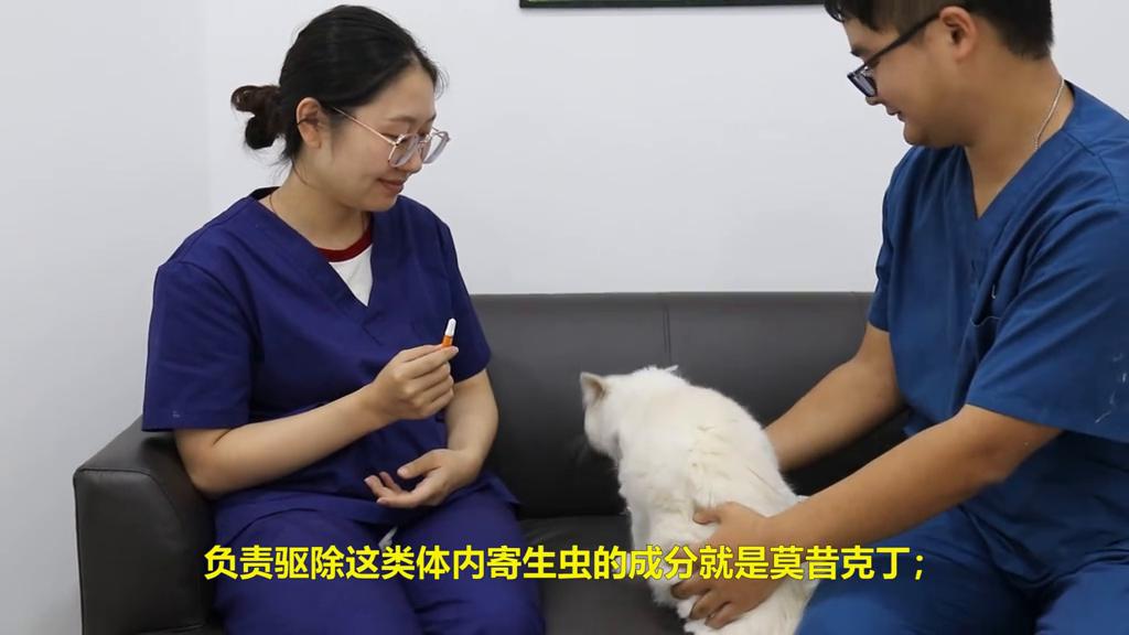 如何辨别耳螨,如何辨别耳垢和耳螨