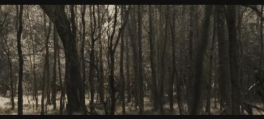 大突袭：（下）：魔鬼战士的雷霆一击