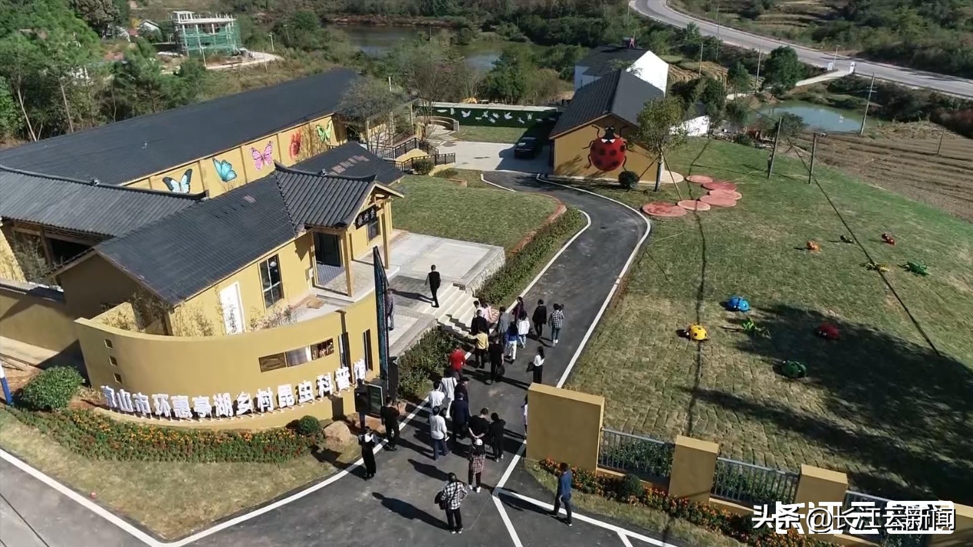 最贵的小昆虫,最贵的十大昆虫价格