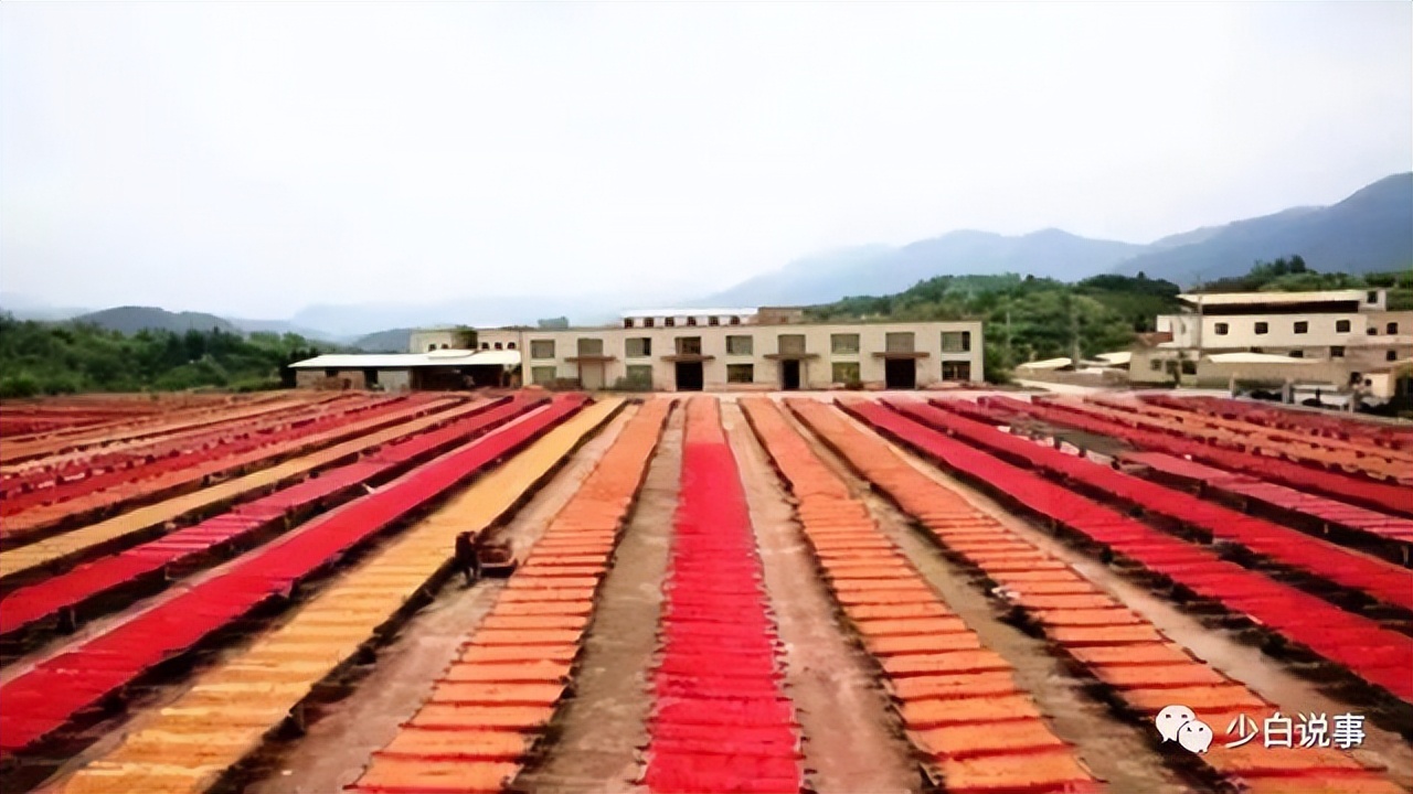 《玉兰花开·三中那三年》（80后的高中求学回忆录）序言及第01章