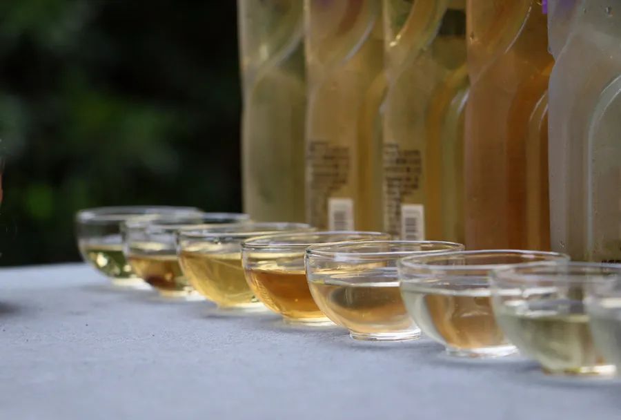 碧螺春泡的茶红色,碧螺春和鸭屎香