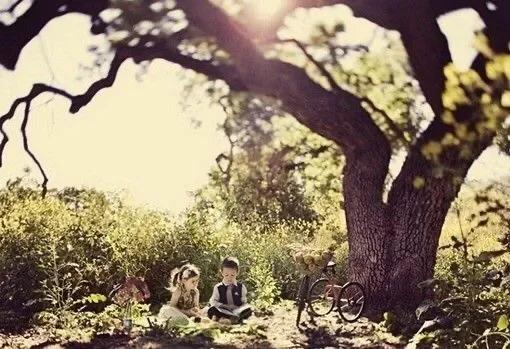 閭ｅ北閭ｆ按閭ｄ汉閭ｆ儏,閭ｅ北閭ｄ汉閭ｆ按