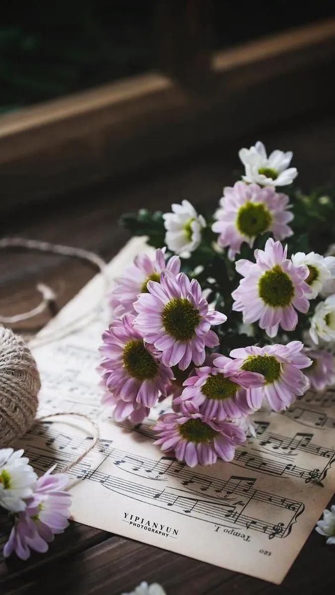 爱戴加厚内衣无痕无钢圈,爱戴最新内衣发布会