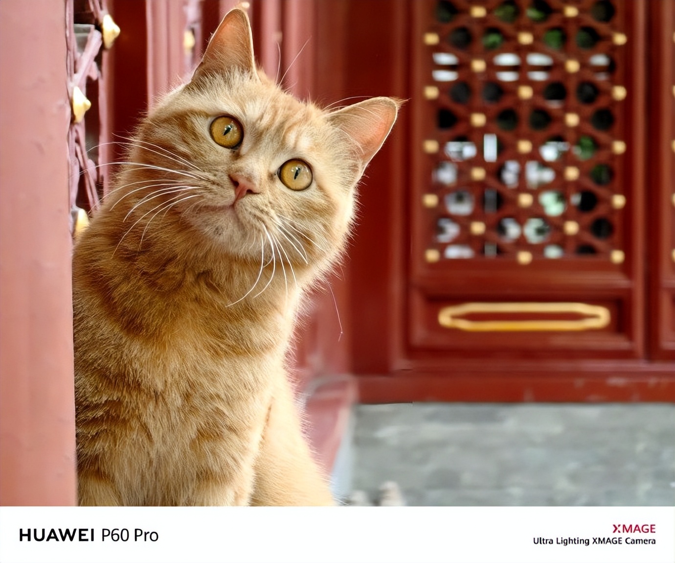 哪款手机拍照能和华为p60pro媲美,华为p60pro成为年度拍照最佳手机