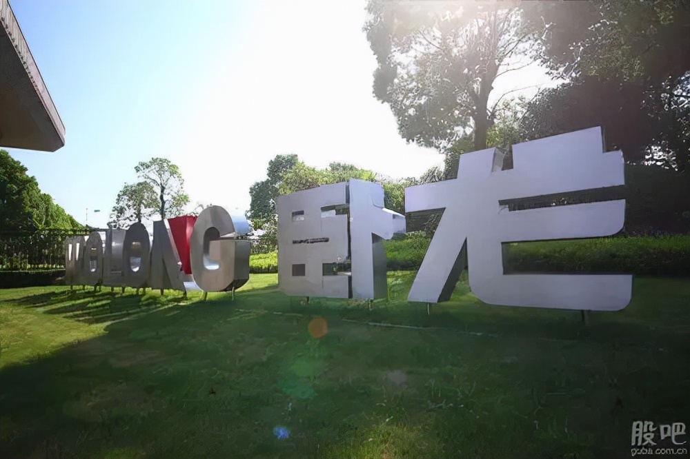 卧龙电驱在哪里,卧龙电驱爆雷