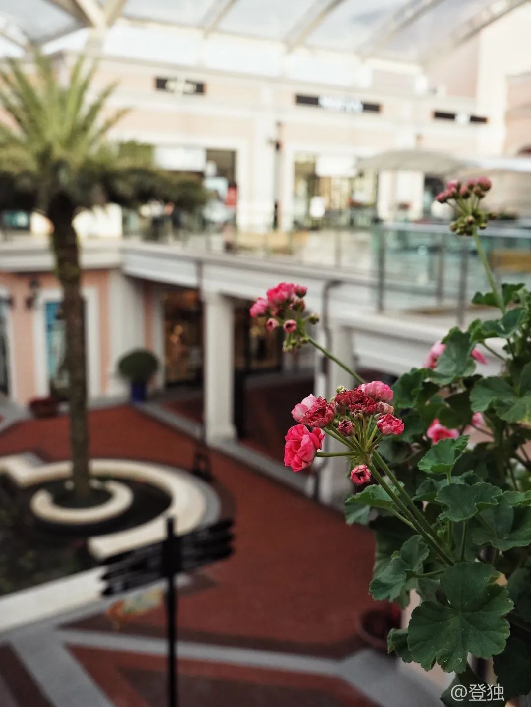 五一小长假重庆人,重庆五一节