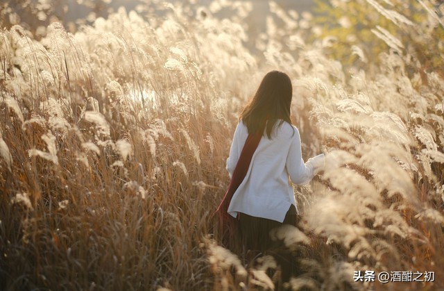 乡土小说：男欢女爱（二十）