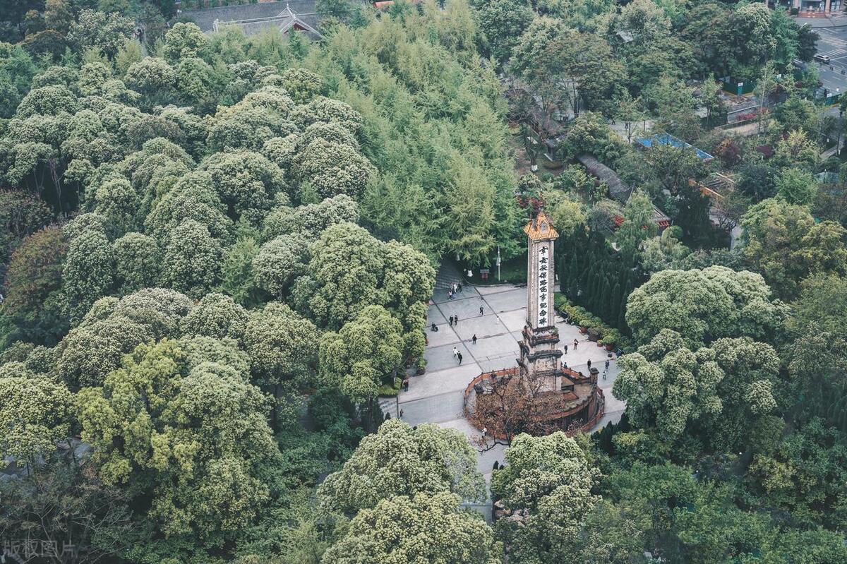 成都最美四大公园,最美成都公园排名