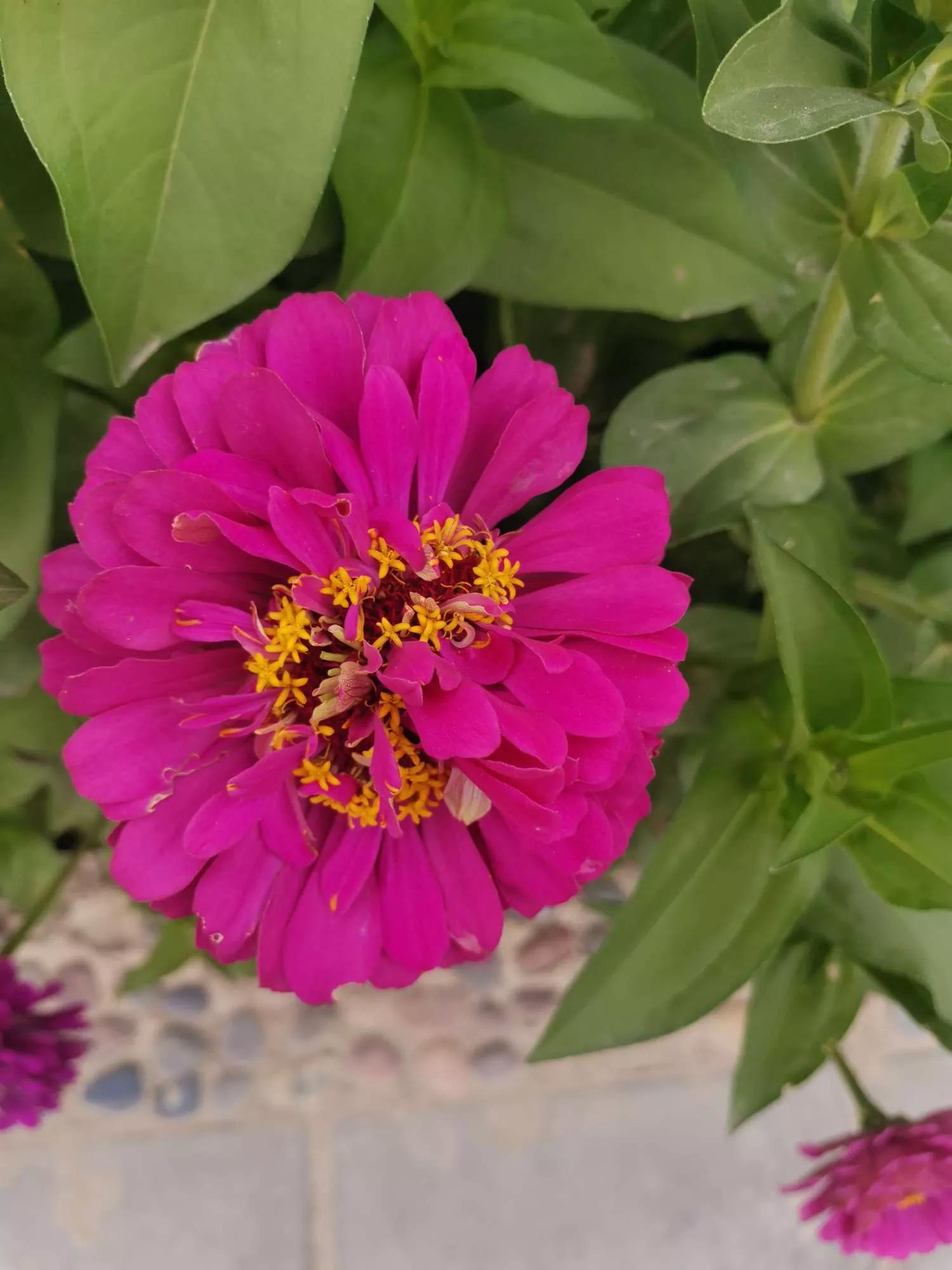 岁月斑驳留下来的都是静好时光,岁月斑驳愿时光静好