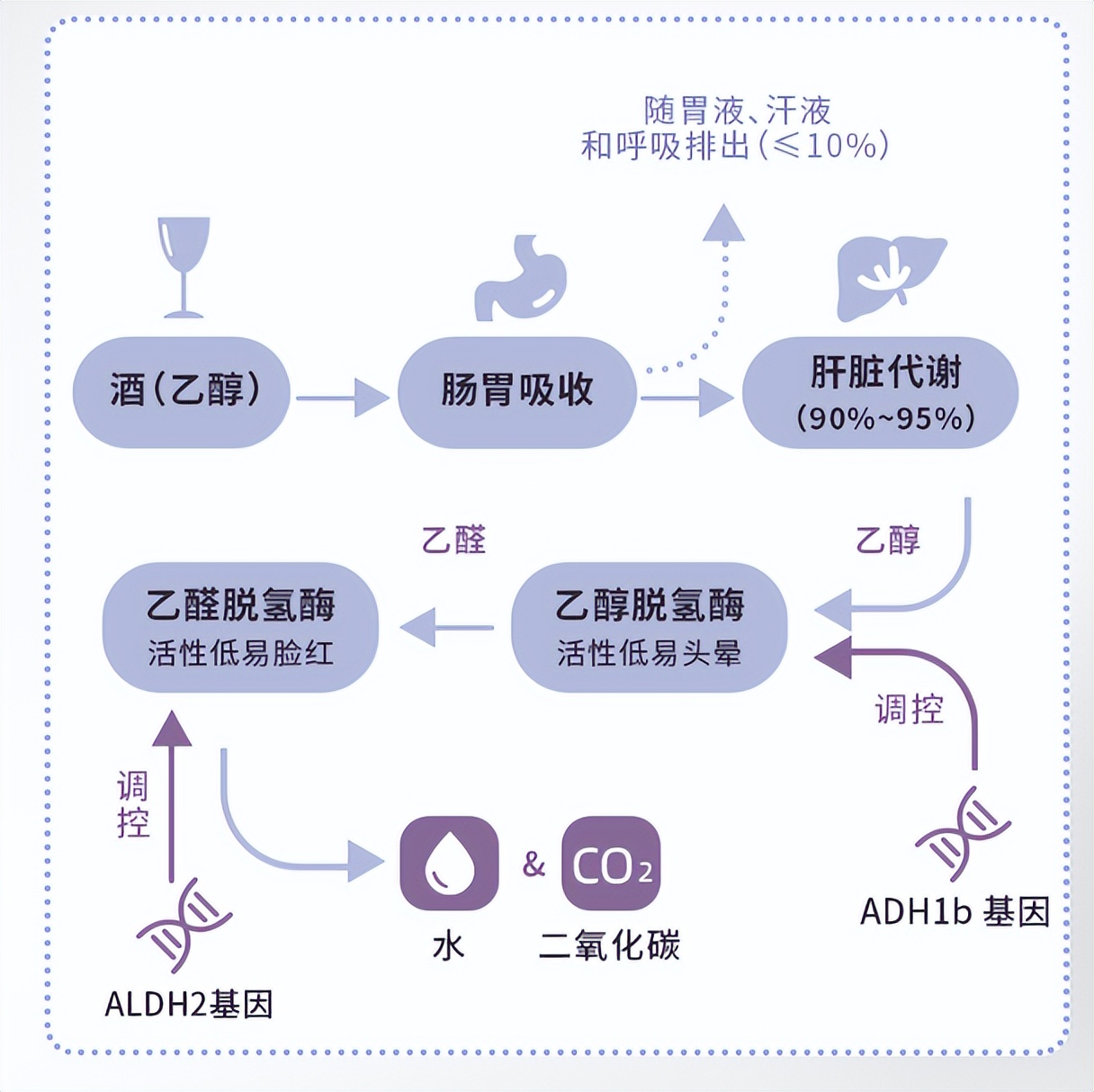 酒后上脸好还是不好,酒后上脸好不好