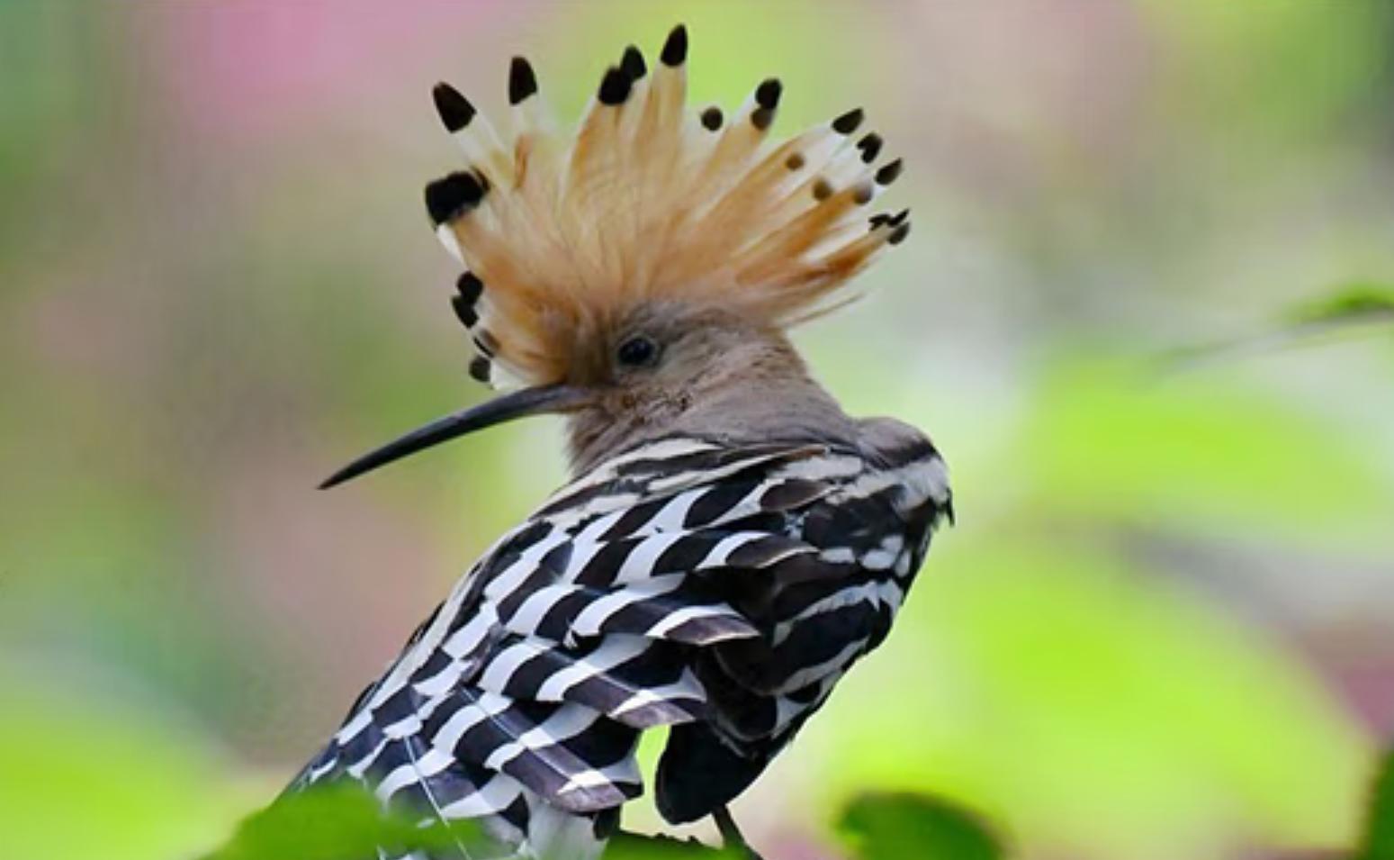 涨知识看什么视频,涨知识原相机