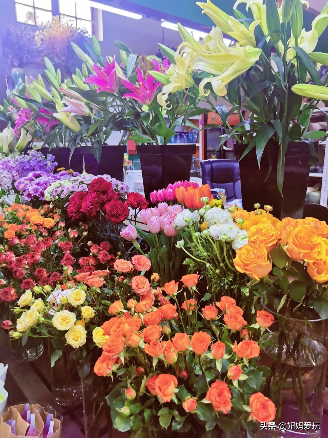 济南市市中区花鸟鱼虫市场在哪里,济南凤凰山花鸟鱼虫市场