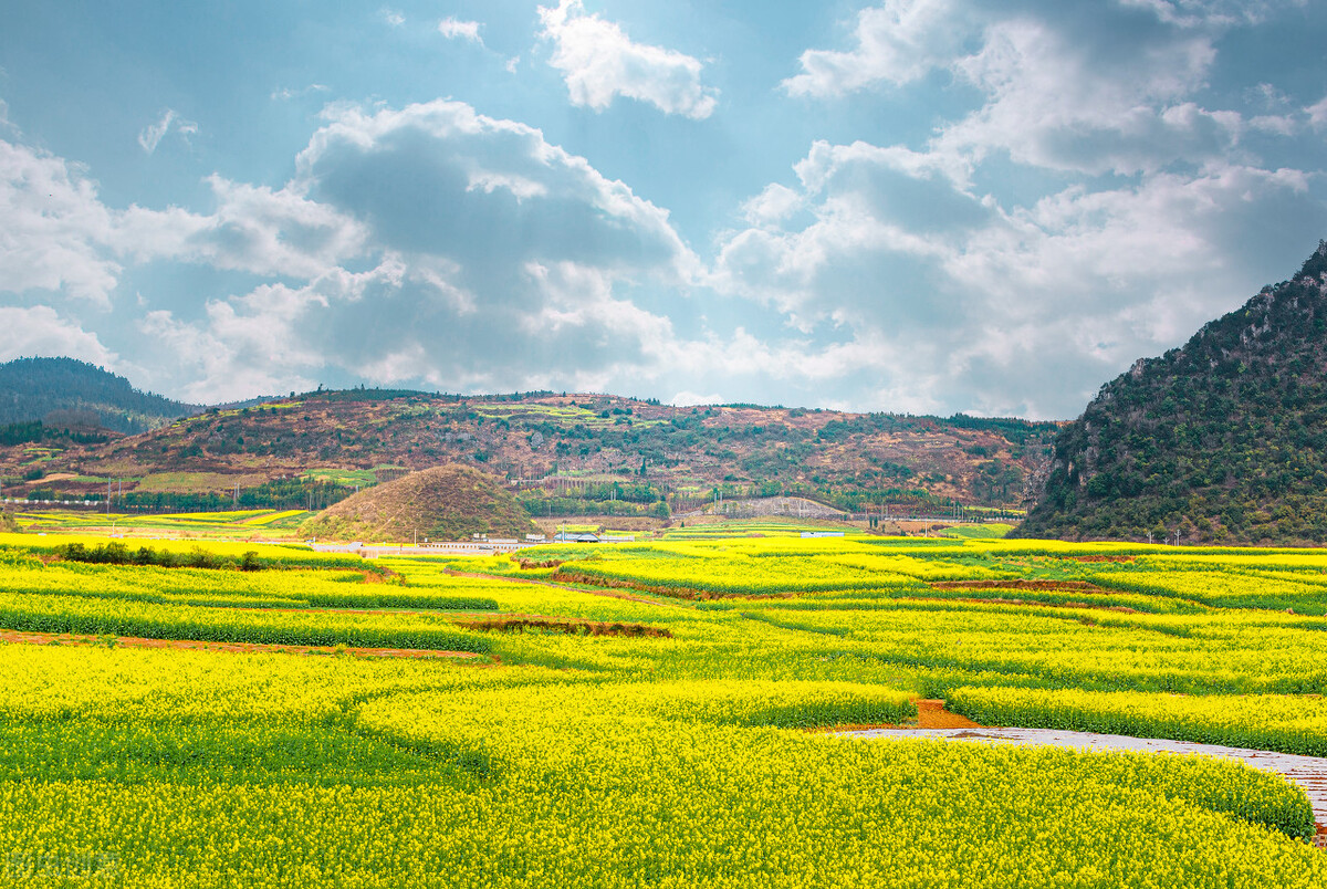 二月适合去哪旅游4天,二月适合去哪里旅行最好