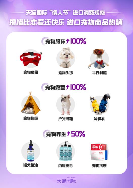 比起爱情更想给宠物花钱，情人节天猫国际宠物配饰增长近100%