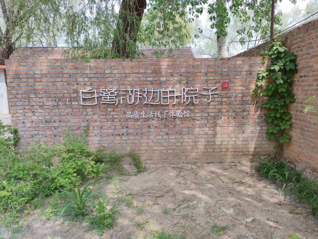 在东营五一假期应该去哪玩,东营人五一旅游攻略自由行