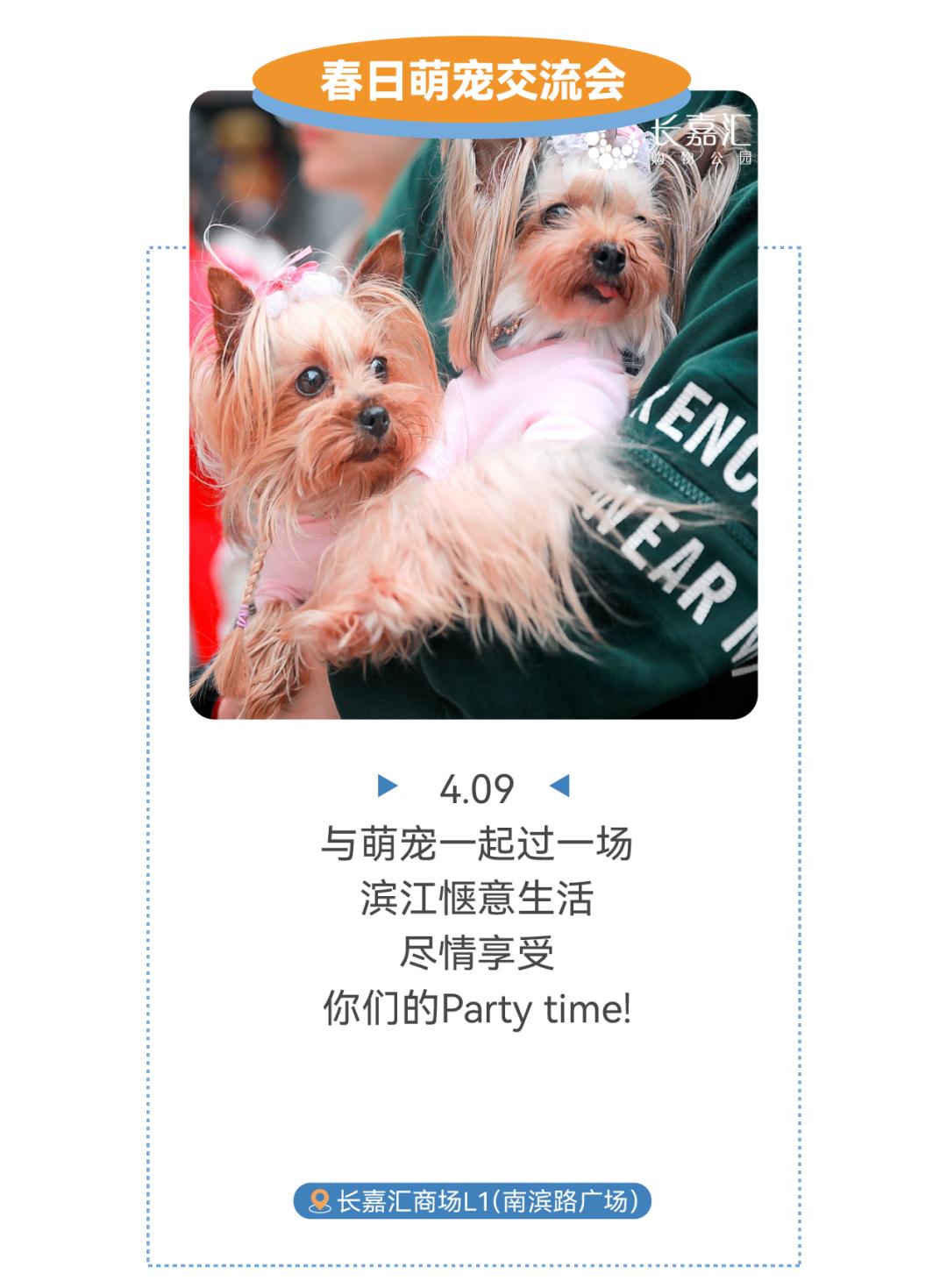 南岸版“圣托尼里”空降南滨，长嘉汇逐浪生活节完整攻略来啦！