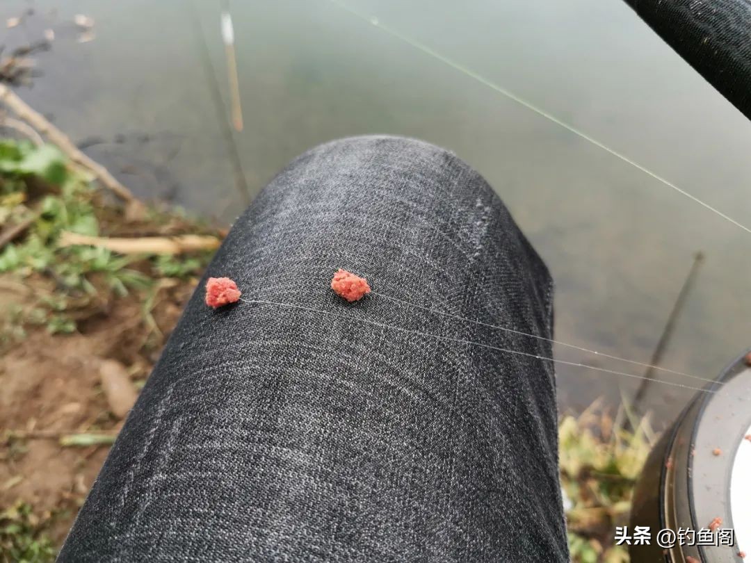 用什么办法可以让鱼快速的长大,一招让鱼开口