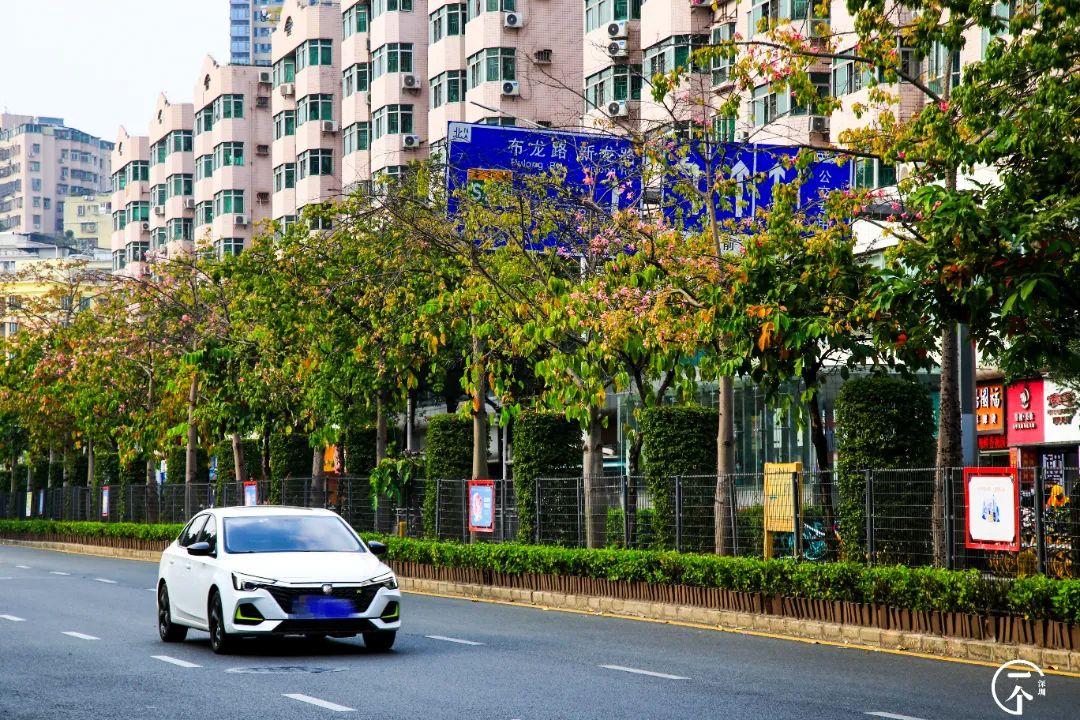 深圳这个不起眼的城中村，盛产学霸？