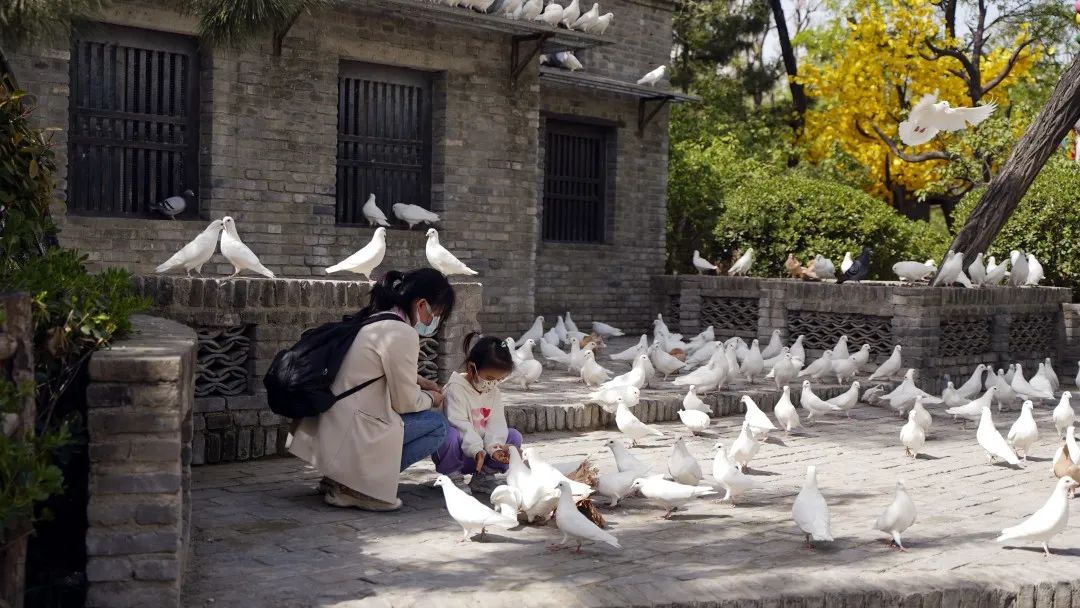 开封旅游未成年免票,开封景区最新门票标准及免票标准