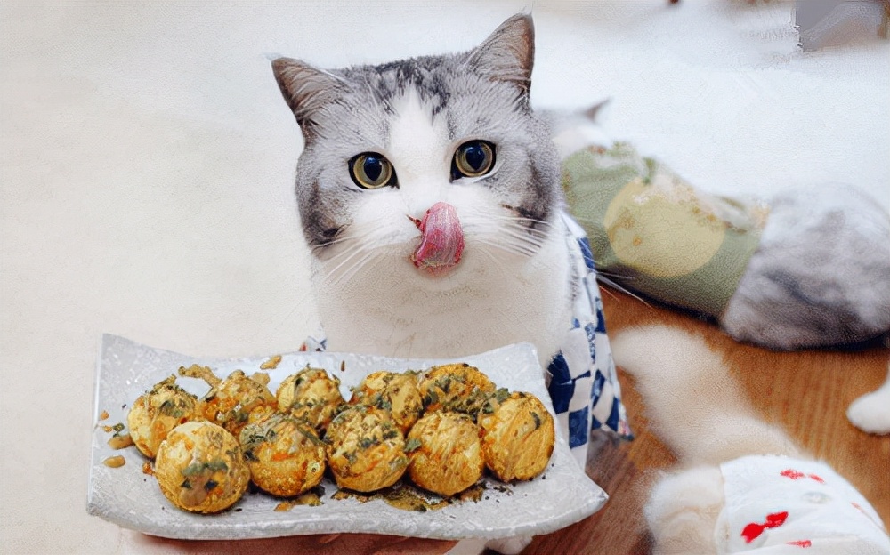 2个多月的猫猫拉稀怎么办,2个月的猫咪拉稀是什么原因