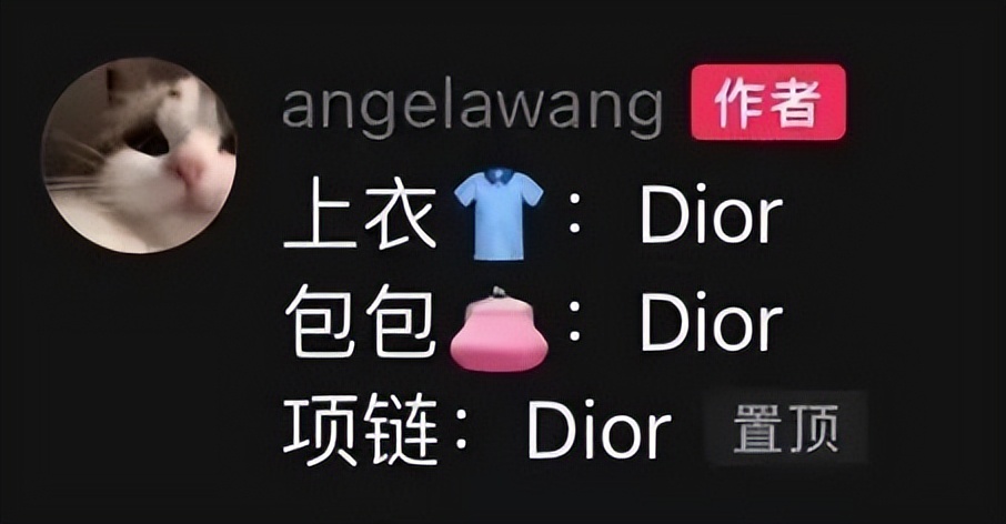 王诗龄回怼炫富,王诗龄炫富回怼网友