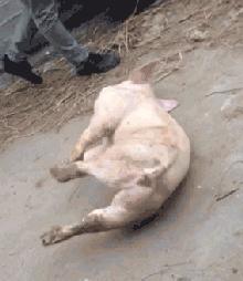 有没有结婚找不到伴娘的尴尬,实在找不到伴娘