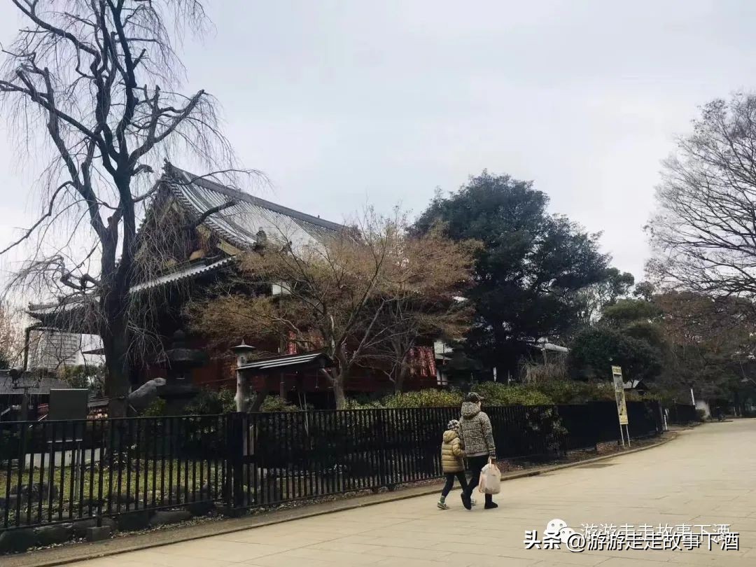 日本印象：樱花生活、排队文化、忠犬八公