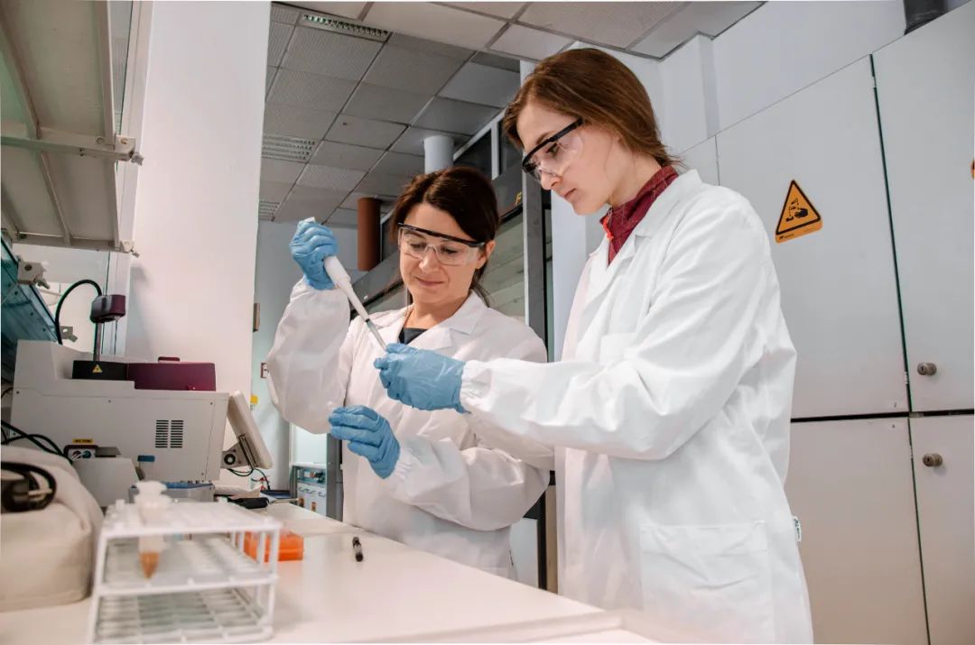 制作食品袋用的是什么材料,用包装袋制作物品