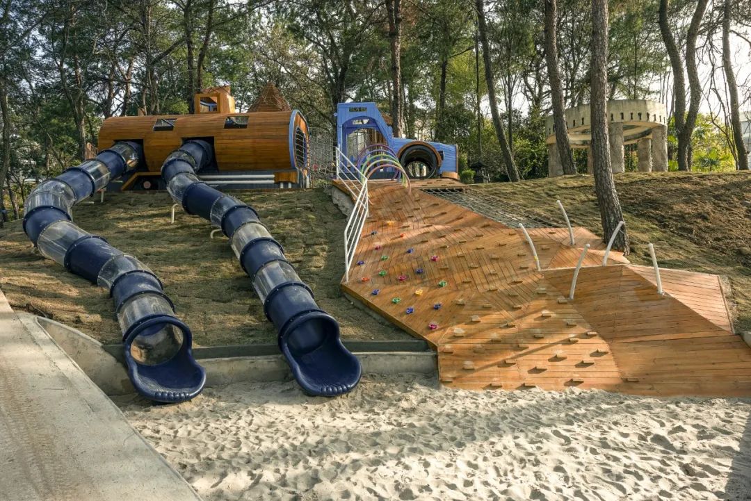 陈妙林直播,开元酒店集团董事长陈妙林