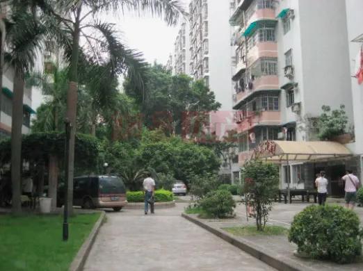 恋爱7年最终输给了现实,恋爱7年无疾而终