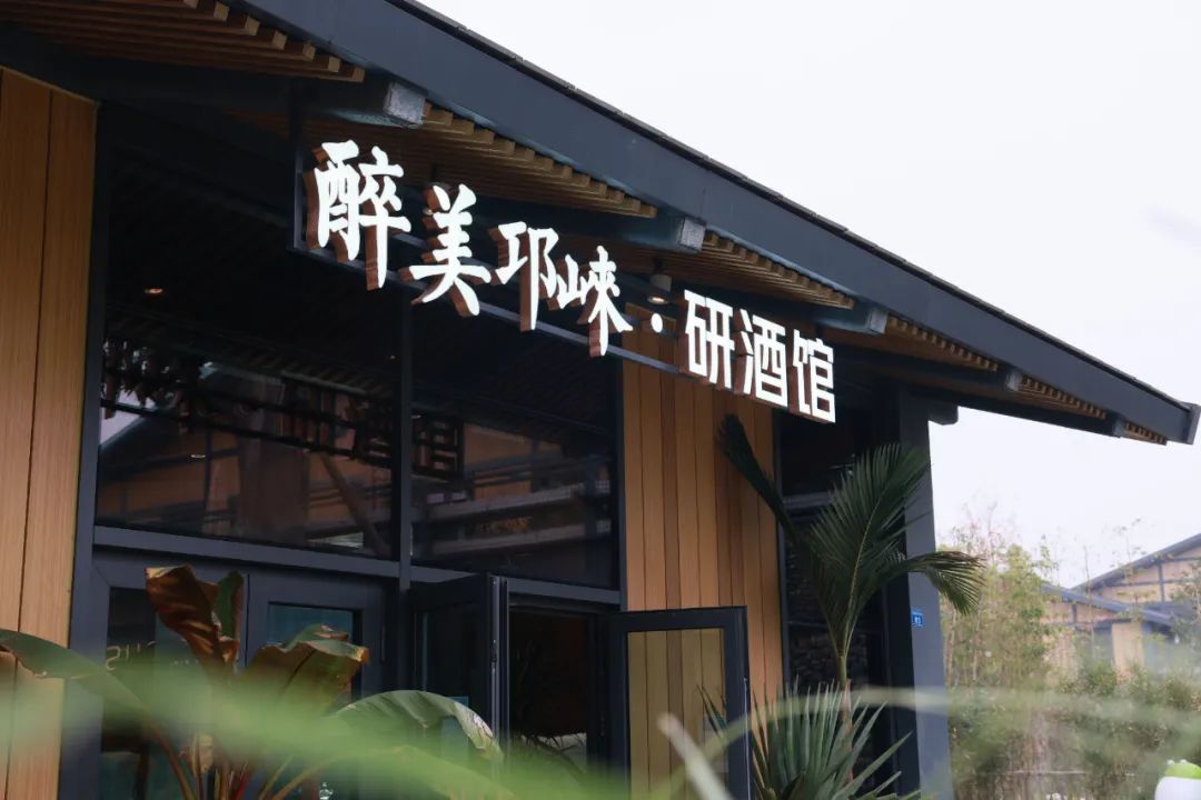 收藏打卡活动,收藏有礼活动