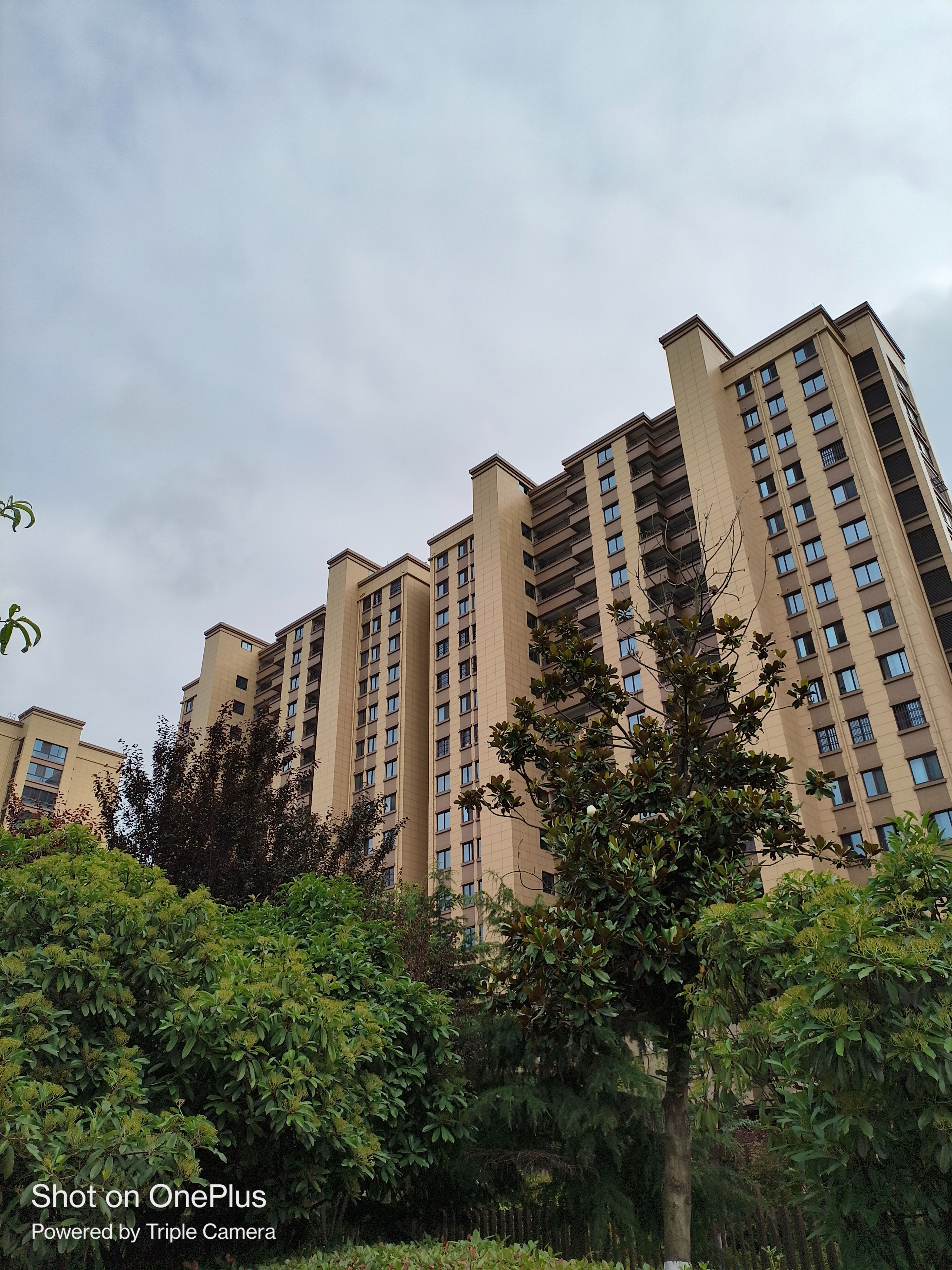 一加ace2v和苹果xr哪个好,从苹果xr换到14plus