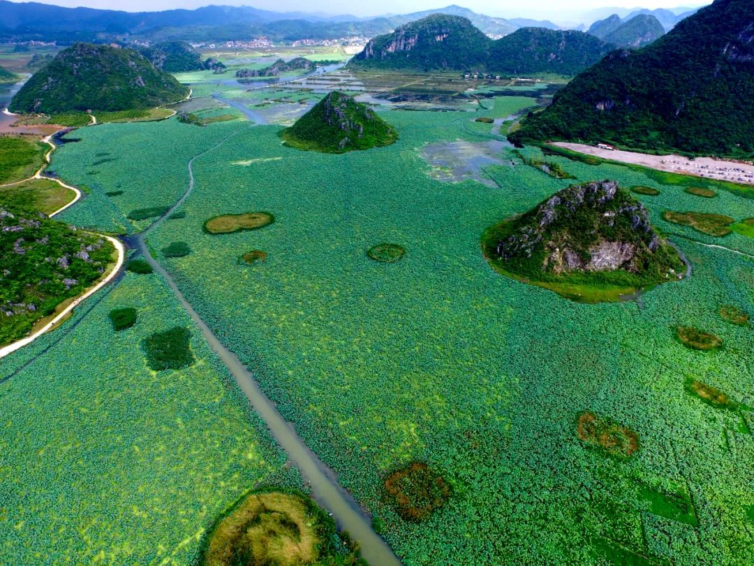 昆明七彩云南怎么样,七彩云南避暑家园