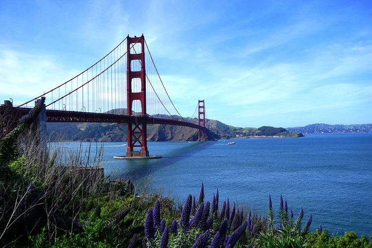 回味旧金山探访成功者的庄园,一种窗口令艾尔卡彭等囚犯备受折磨