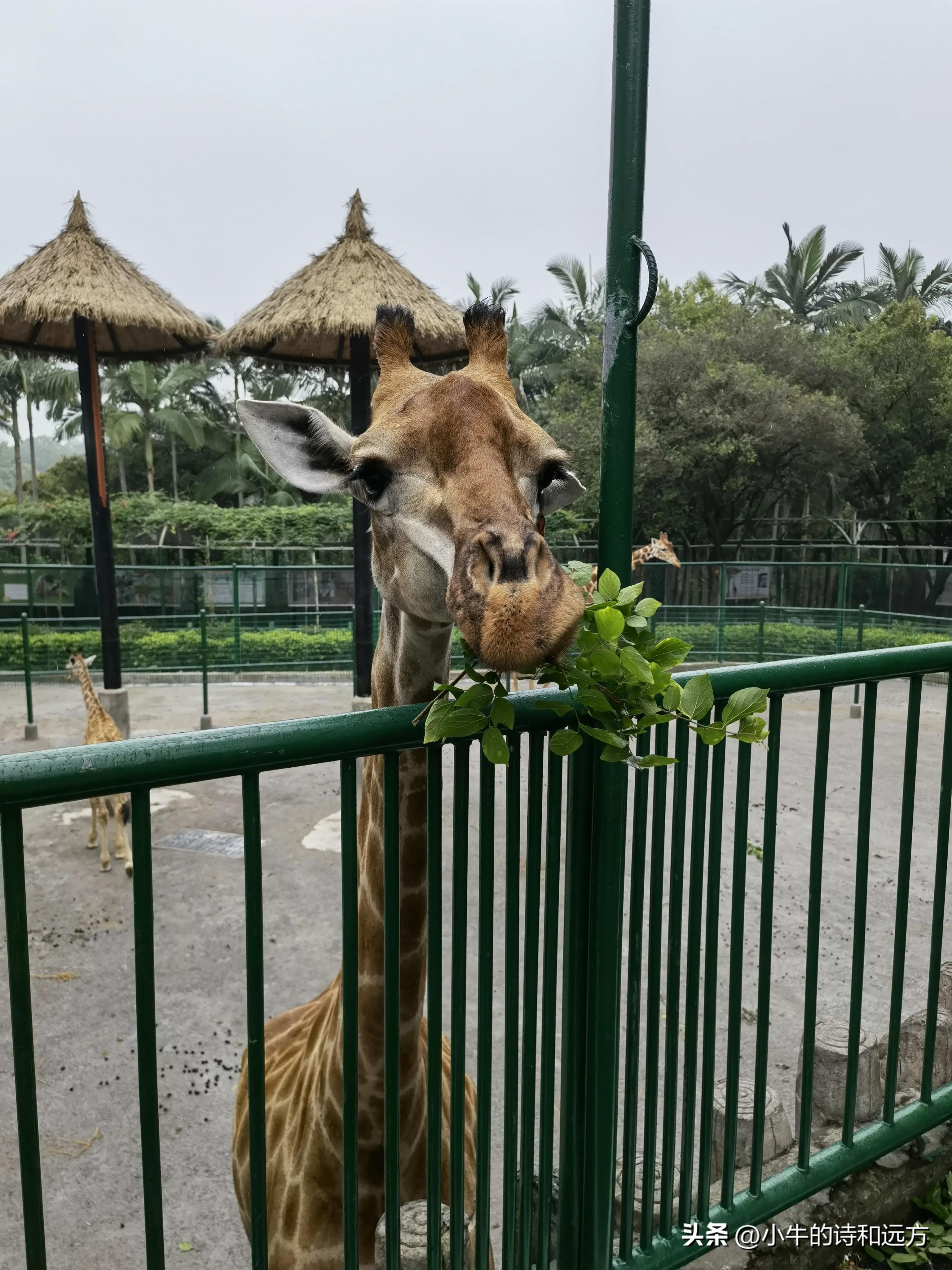 溜娃好去处就在紫谷萌宠乐园,青龙湖湿地公园遛娃攻略