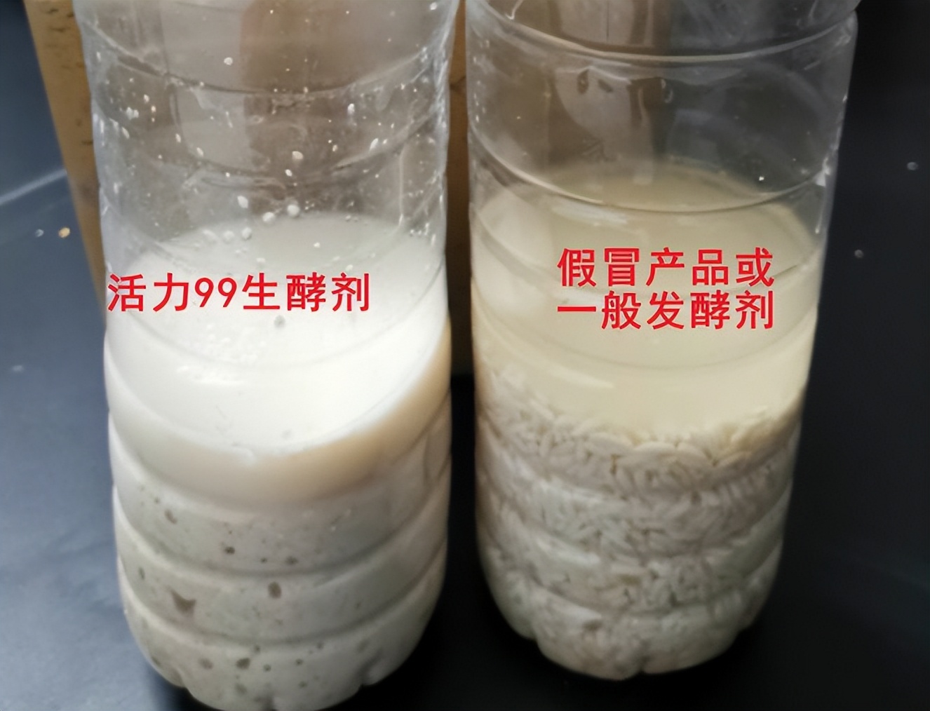 加强型活力99生酵剂—以高浓度乳酸菌，更好用的专业益生菌发酵剂