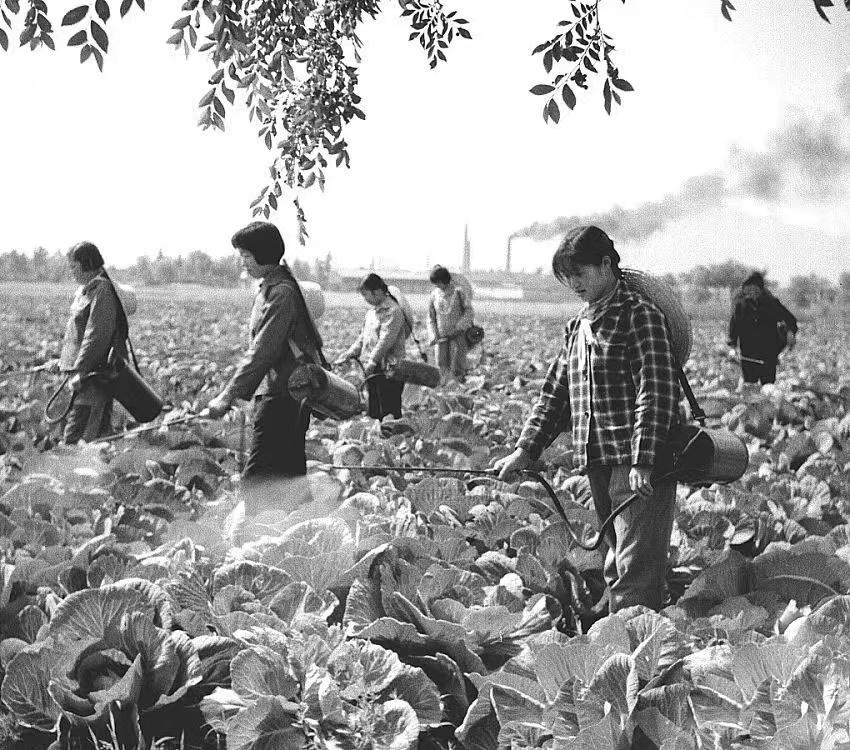 去世7年，留下了宜兴半个多世纪的“光影”