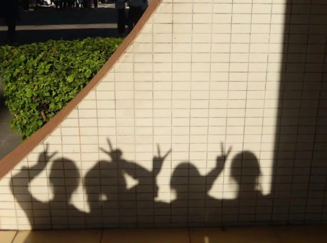 合肥最好的大学城,合肥最大的大学城